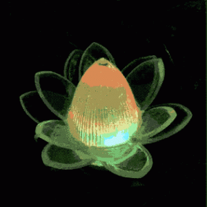 Buddha lotus led light flower wesak rose decoration Sri Lanka GCE 8